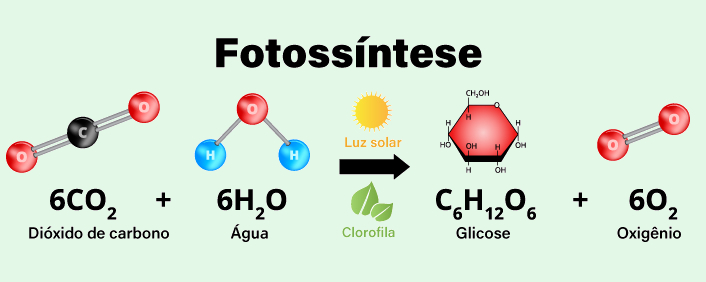 Ilustração representativa do processo de fotossíntese, no qual o dióxido de carbono (CO₂) está envolvido.