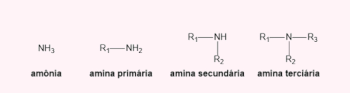 Diferença estrutural entre aminas, uma das funções nitrogenadas.