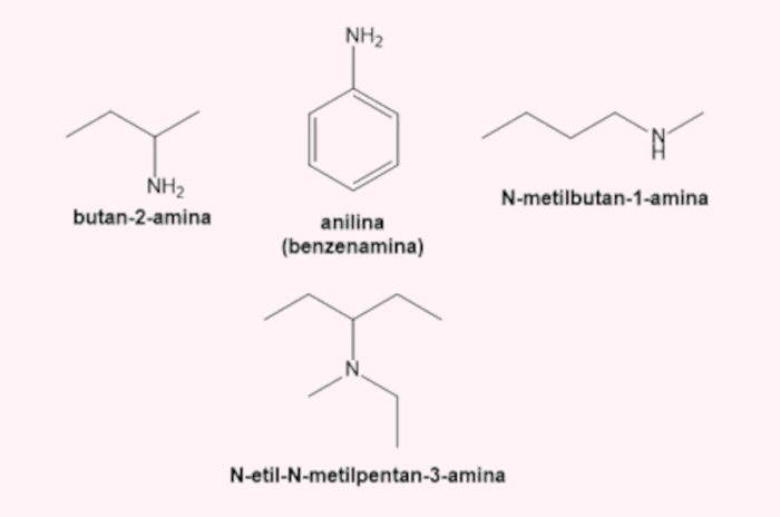 Nomenclatura das aminas, uma das funções nitrogenadas.