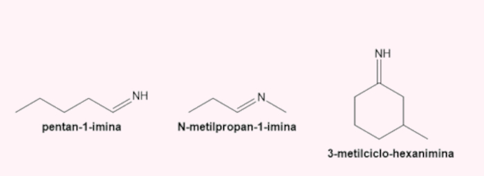 Nomenclatura das iminas, uma das funções nitrogenadas.