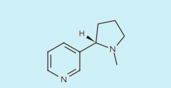 Fórmula estrutural da nicotina, uma amina tóxica.