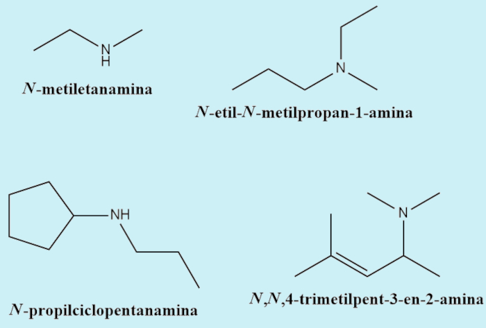 Diferentes nomenclaturas em ramificações de aminas.