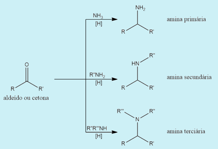 Obtenção de aminas por aminação redutora.