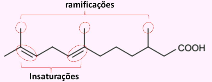 Parte da resolução de uma questão da PUC sobre classificação do carbono.