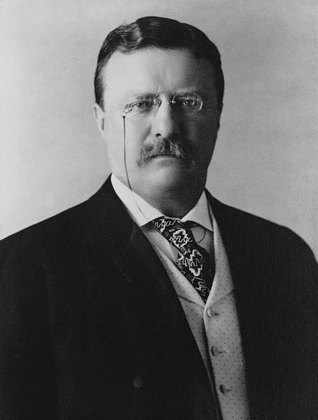 Retrato de Theodore Roosevelt, um dos presidentes dos Estados Unidos.