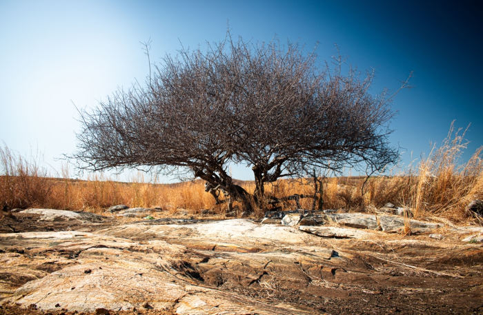 Vista de paisagem típica de região do Brasil com clima semiárido.