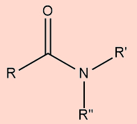 Fórmula estrutural das amidas, uma das funções orgânicas.