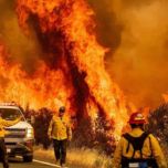 Bombeiros na rodovia que tem as margens pegando fogo