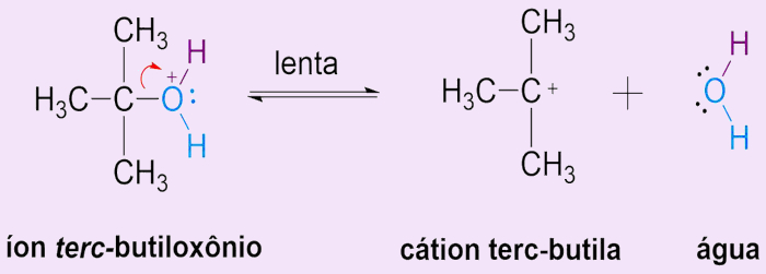 Etapa 2 do mecanismo de reação de substituição nucleofílica unimolecular, um dos tipos de reações orgânicas.