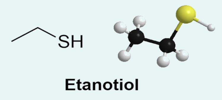 Representações químicas do etanotiol, utilizado para detectar vazamentos de gases inodoros, como o GLP.