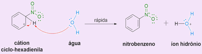 Etapa 2 do mecanismo de reação de substituição eletrofílica aromática, um dos tipos de reações orgânicas.