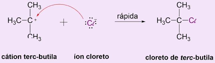 Etapa 3 do mecanismo de reação de substituição nucleofílica unimolecular, um dos tipos de reações orgânicas.