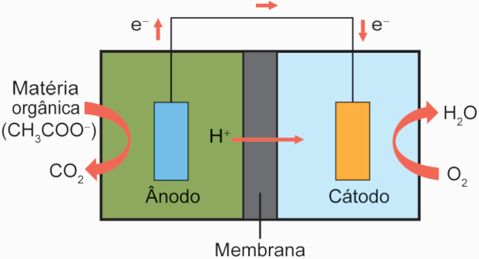 Esquema de uma CCM em questão de eletroquímica no Enem.