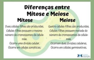 Mitose e meiose