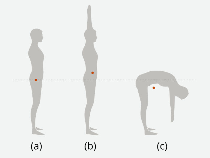 Ilustração mostrando os diferentes centros de massa do ser humano.