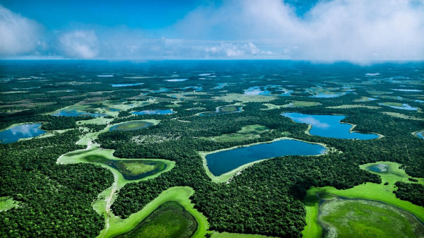 Paisagem natural do Pantanal, um bioma do Brasil que se desenvolveu sobre a maior planície alagável do planeta Paisagem natural do Pantanal, um bioma do Brasil que se desenvolveu sobre a maior planície alagável do planeta