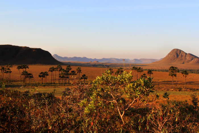 Região de vegetação da savana no Brasil, formada pelo Cerrado e pela Caatinga.