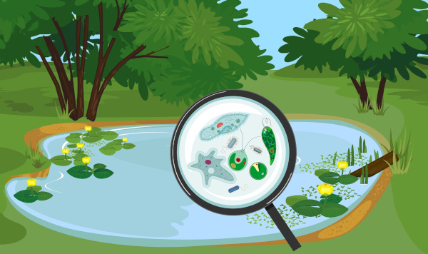 Ilustração de um ambiente natural aquático entre árvores e uma lupa identificando seres protistas.