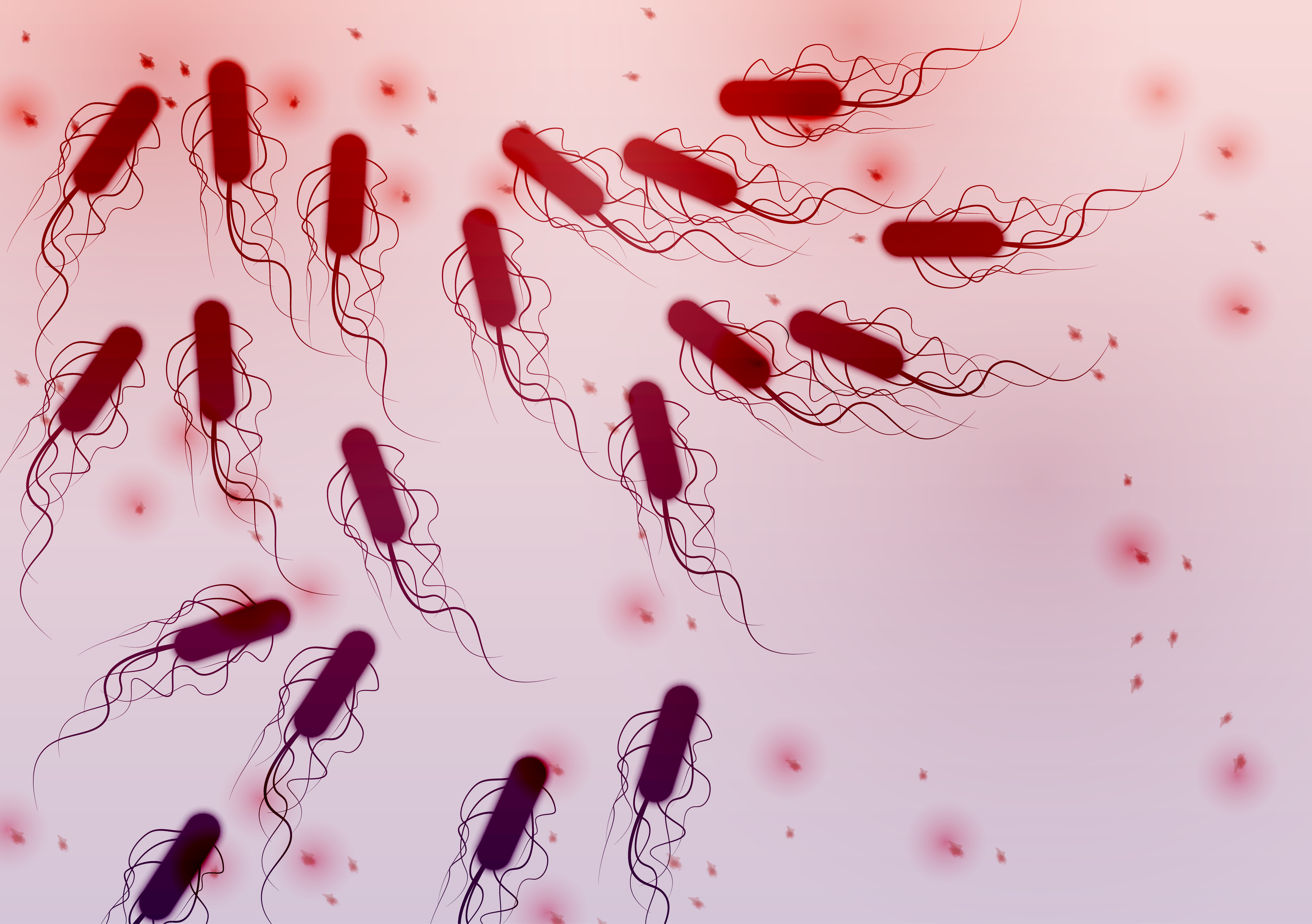Representação de bactérias Escherichia coli, exemplos de seres vivos.