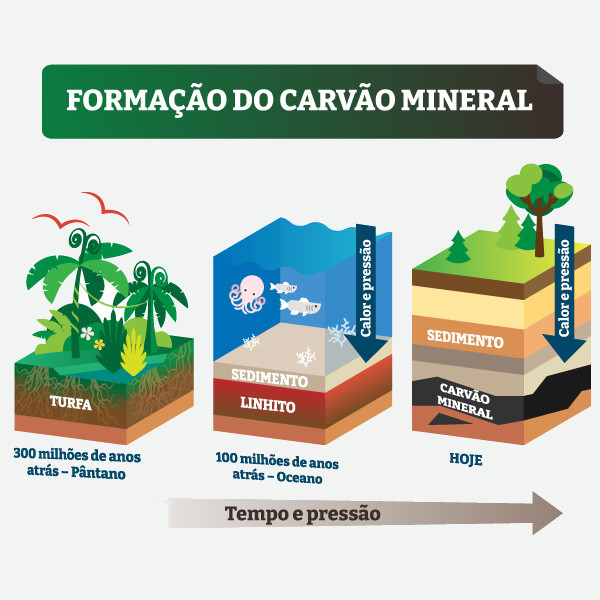 Ilustração representativa do processo de formação do carvão mineral.