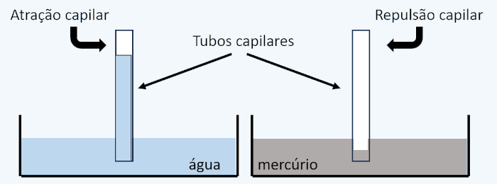 Diferença entre o comportamento da água e do mercúrio na capilaridade.
