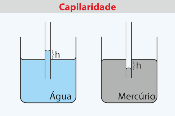 Exemplo de ocorrência de capilaridade na água e no mercúrio. Exemplo de ocorrência de capilaridade na água e no mercúrio.