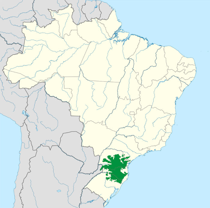 Mapa mostrando a localização da mata de araucárias.