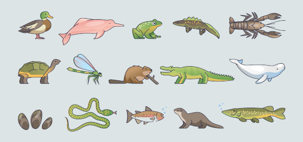Ilustração representativa de alguns seres pluricelulares.