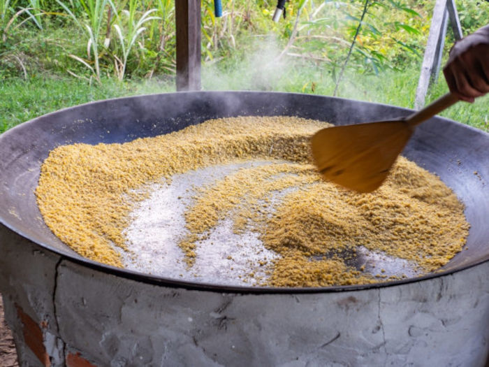 Farinha de mandioca em um tacho, alimento de influência indígena na cultura brasileira.