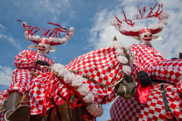 Duas pessoas montadas sobre cavalos, com roupas típicas das Cavalhadas de Pirenópolis, tradição cultural brasileira.