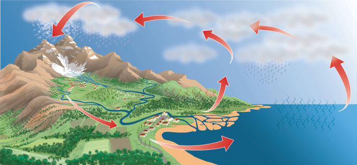 Ciclo da água, um dos aspectos que explica por que a água do mar é salgada.