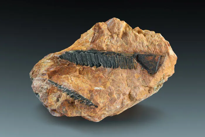 Amostra de monazita, que faz parte do grupo de elementos chamados terras-raras