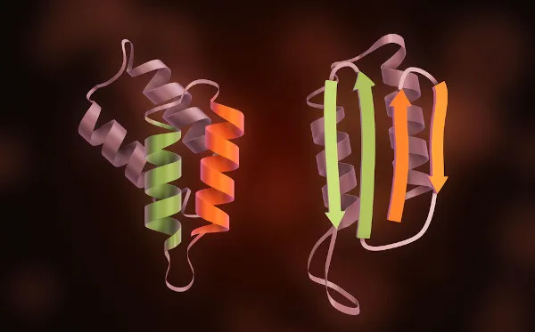 Mutações fazem com que proteínas cerebrais normais adquiram conformação anormal.