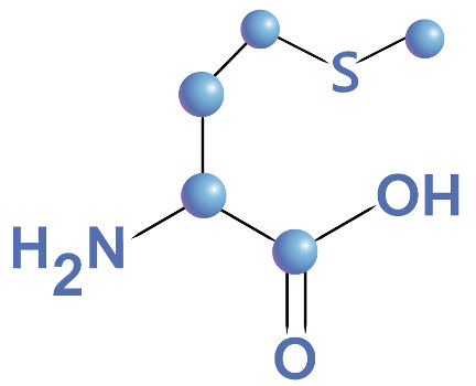 Fórmula estrutural de um aminoácido