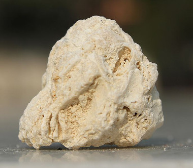 O calcário é uma rocha sedimentar *