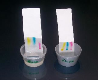 Exemplo de separação de componentes presentes em tintas de caneta por Cromatografia em Papel