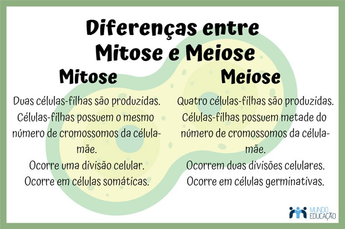 Tabela comparativa entre mitose e meiose