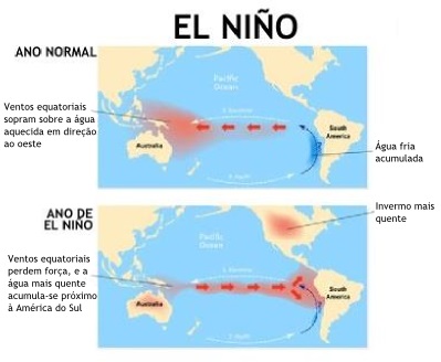 El Nino Pollo