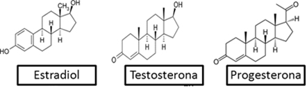 Estruturas de esteroides: estradiol, testosterona e progesterona