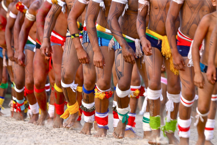 O Brasil possui 305 etnias espalhadas por todas as regiões do país. 