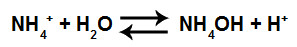Equação que representa a formação da base fraca sem o ânion