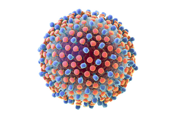 O vírus da hepatite C sofre muitas mutações, o que dificulta a criação de uma vacina contra o problema.