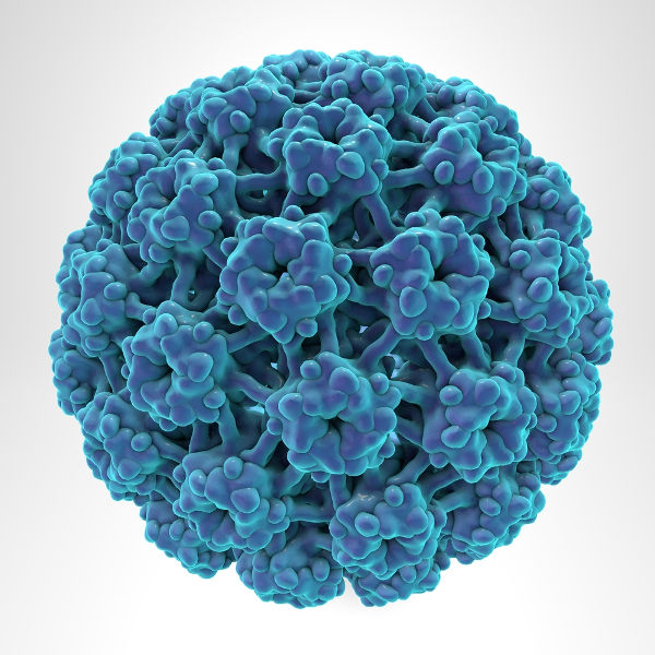 A infecção pelo vírus HPV está diretamente relacionada com o desenvolvimento de câncer de colo do útero.