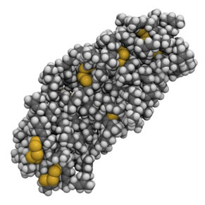 Estrutura molecular da borracha vulcanizada, constituída por fios de poli-isopreno de enxofre reticulados