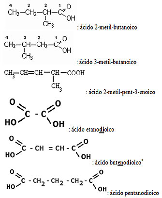 Exemplos de nomenclaturas de ácidos carboxílicos com ramificações e insaturações