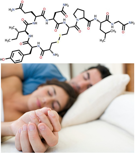 A oxitocina é liberada na relação sexual e gera ligação entre o casal