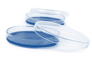 Placa de Petri – vidraria usada em laboratório de ciências