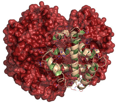 Estrutura quaternária de uma proteína