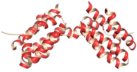 Estrutura secundária de uma proteína