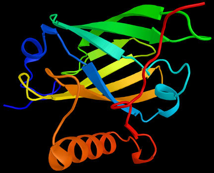 Estrutura terciária de uma proteína